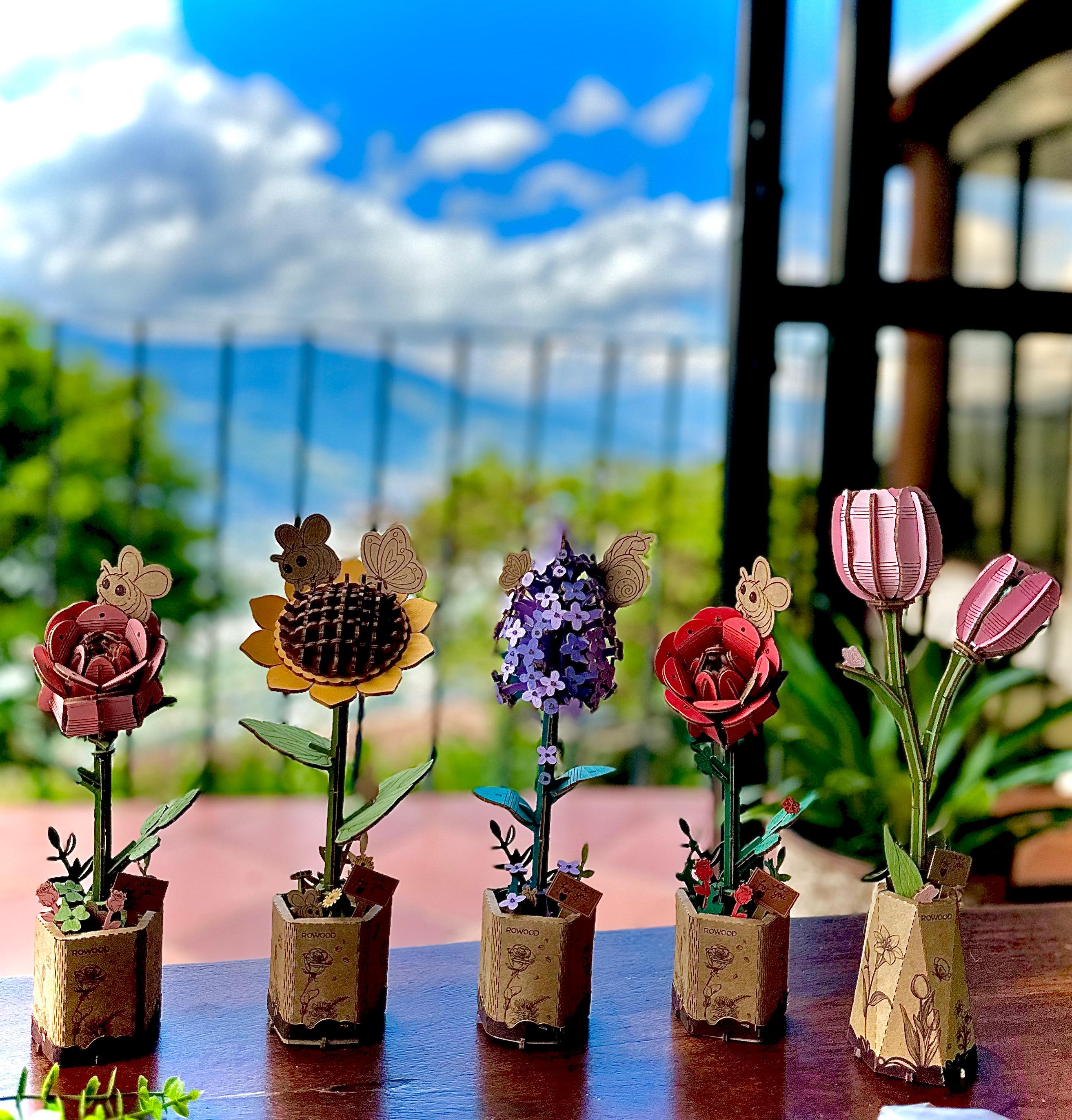 ¡Diseño de Temporada!