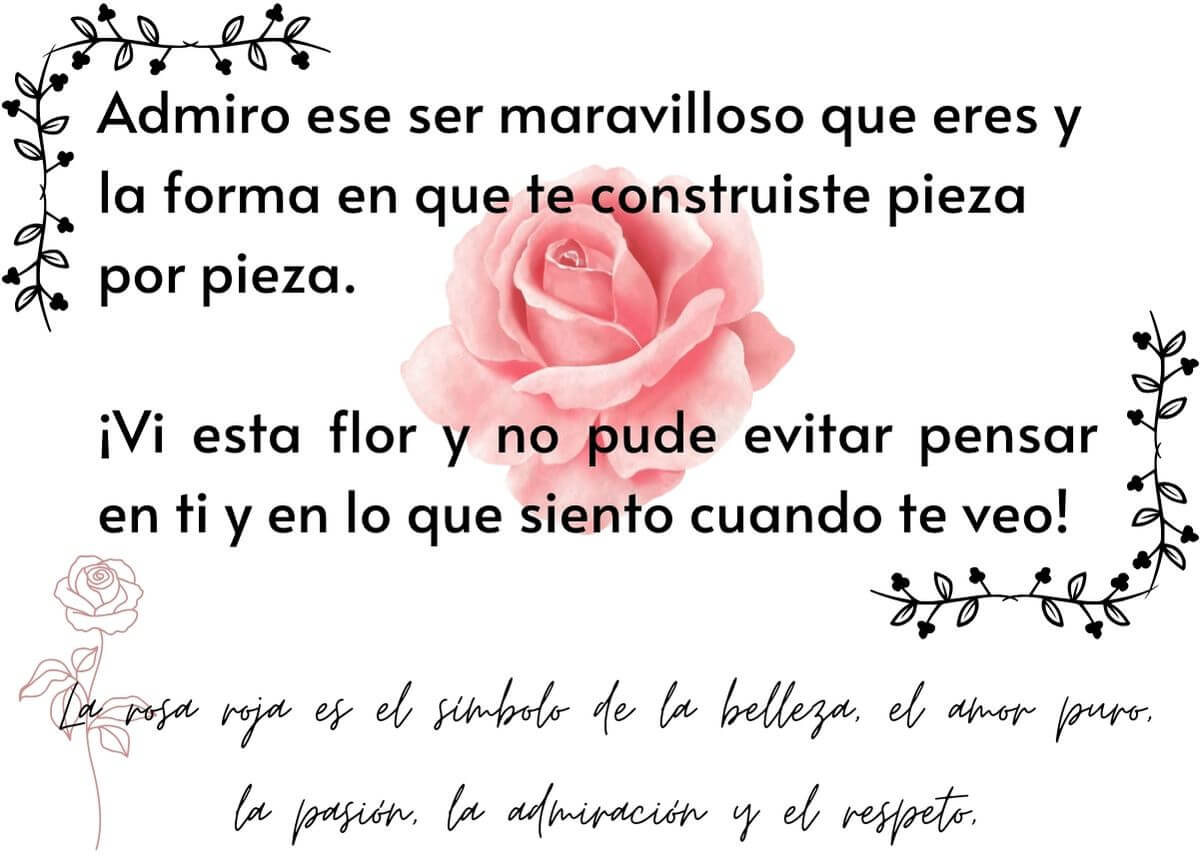 Complementa el hermoso detalle Rosa Roja Tipo Rompecabezas 3D